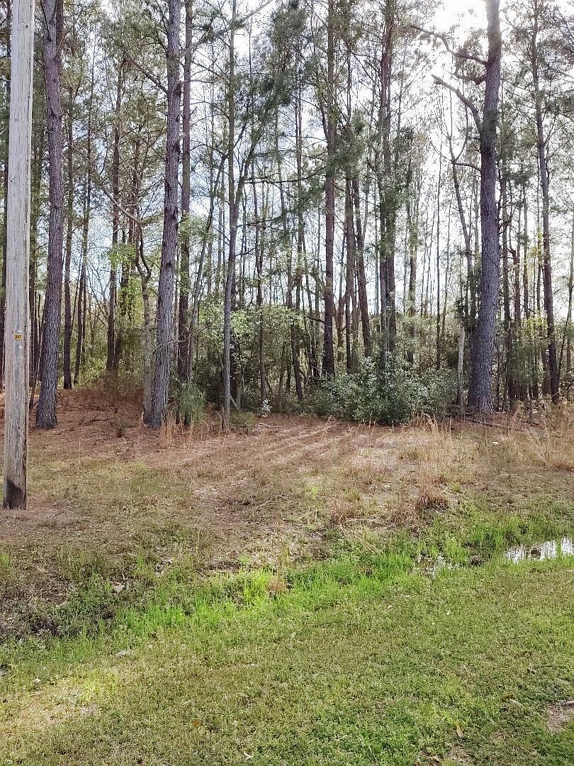 15275 Point Rd, Green Pond, SC 29446 Zillow