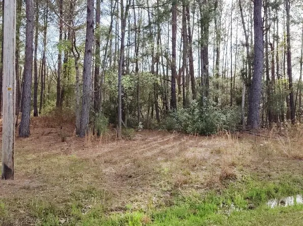 15275 Bennetts Point Rd, Green Pond, SC 29446