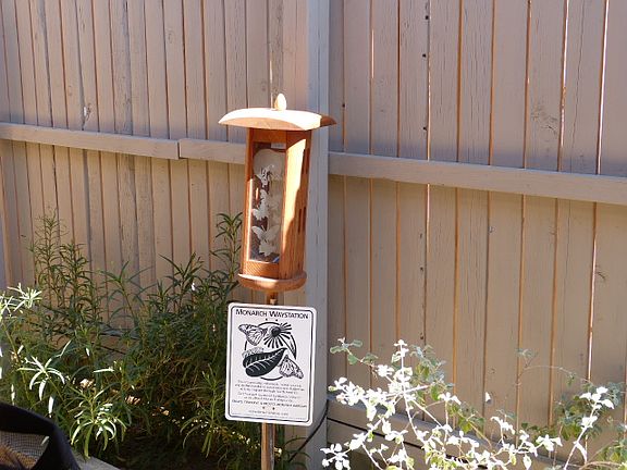 Certified Monarch area