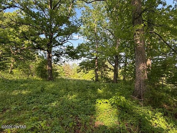 4th image of 0 McBride Cemetery Rd