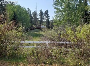 36 Apache Trl, Divide, CO 80814