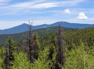 719 Miners Candle Road, Idaho Springs, CO 80452