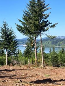 4 E Lone Fir Drive Road E, Shelton, WA, 98584
