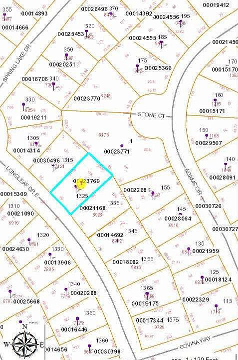 1st image of 1325 E Longleaf Drive LOT 178