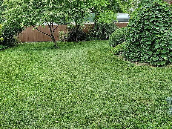 Open Back Yard Area 