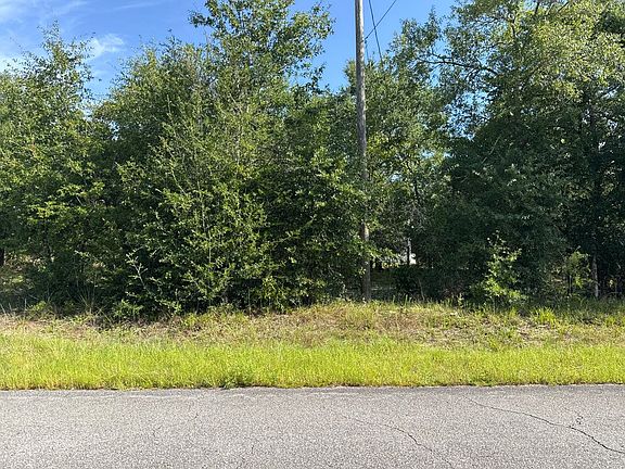2nd image of 145 Juniper Lake Dr