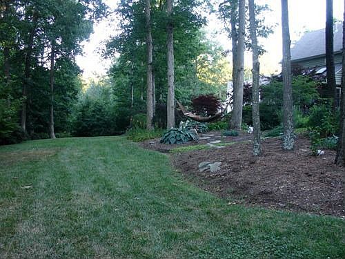 Still plenty of open yard to throw ball ~ or have a wedding reception...