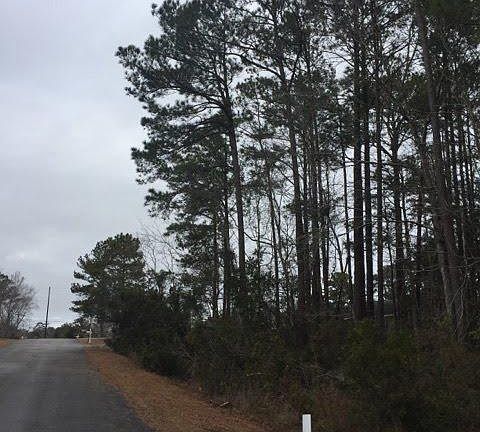 4th image of 823 Wood Creek Drive LOT 5 and 6