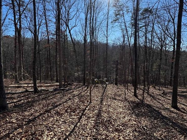 10 Independence Ln, New Market, VA 22844