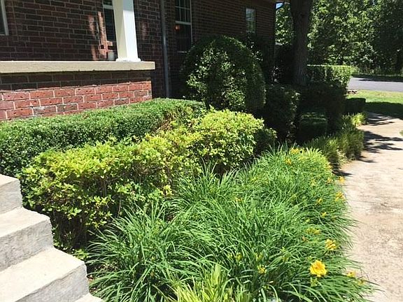 Professional landscaping 