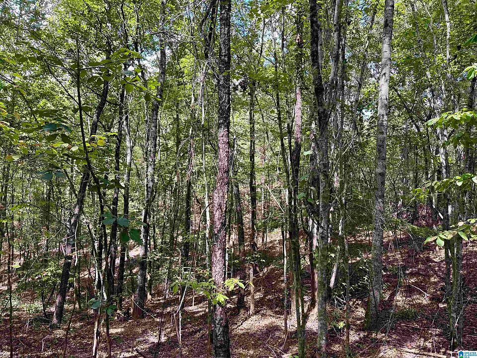 1st image of Lane Branch Rd #11.74