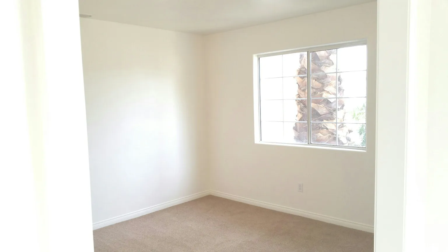 5217 San Lucas Dr photo 1