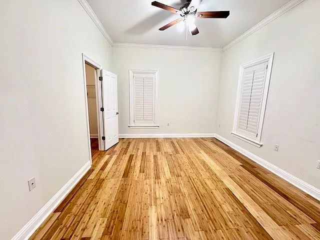 92 Palmetto — Photo 17