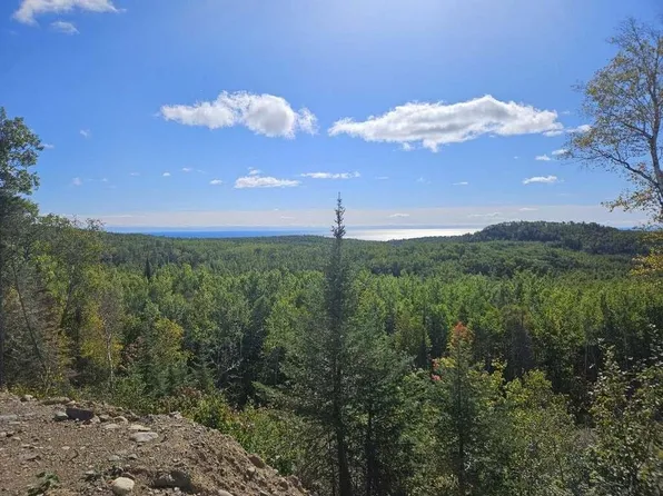 1 Jackson Lake Rd, Hovland, MN 55606