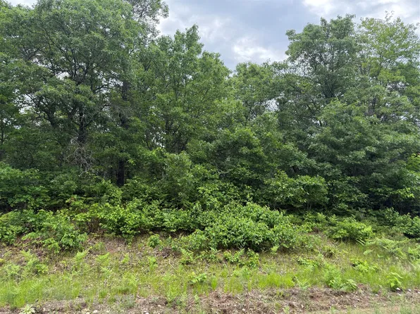 Lot 53 E Wilderness Court, Barnes, WI 54873