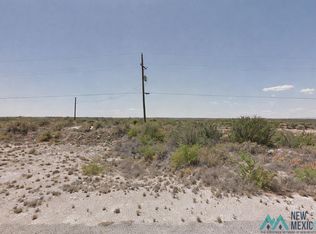 699 E Derrick Rd, Carlsbad, NM 88220