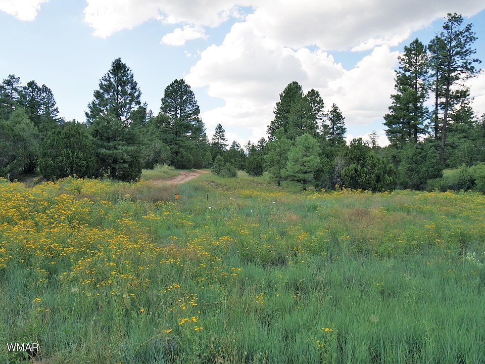 Black Canyon Rd, Heber, AZ 85928 Zillow