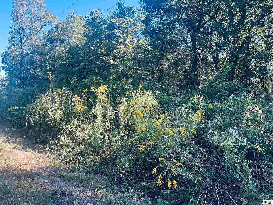 2nd image of 9424 Merton Bowe Rd