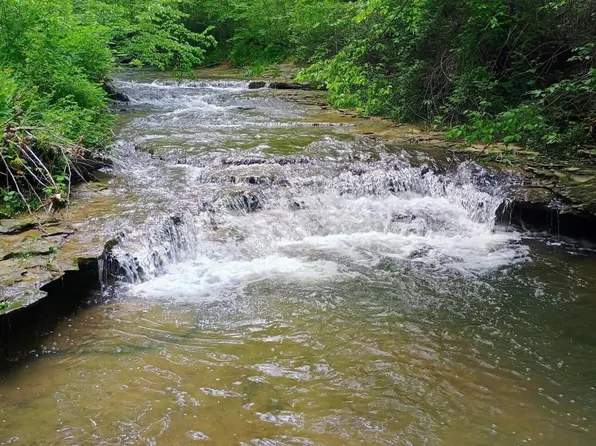 495 Clear Fork Branch Rd, Eubank, KY 42567