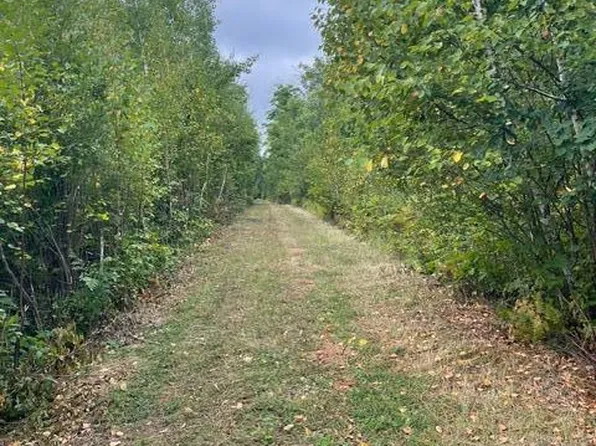 Lacy Ln SW, Pequot Lakes, MN 56472