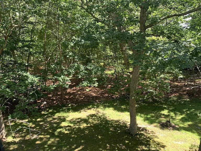 133 Neck Path — Photo 19