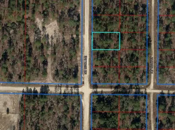 0 NE 150th Ave #16, Williston, FL 32696