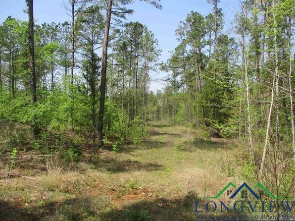 0 County Road 112 N #108-102, Overton, TX 75684