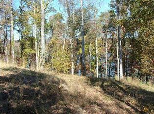 Lakeview Dr, Spring city, TN 37381