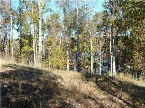 Lakeview Dr, Spring City, TN 37381