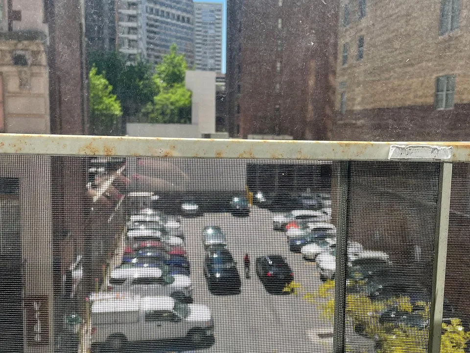 Window View