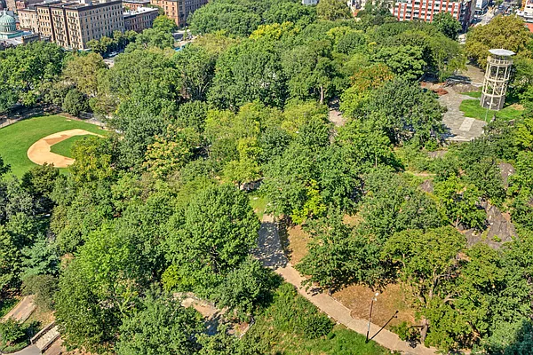 Sold by Douglas Elliman | media 7