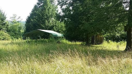 2nd image of Reed Ln