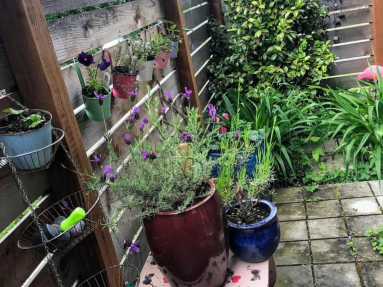 1st floor garden adjacent to 1st floor bedroom