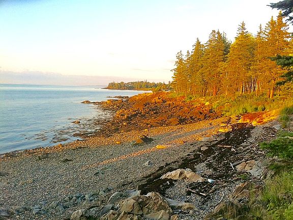 Rugged Maine coastline from 