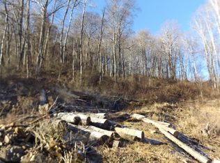 0 Kims Cove Rd, Canton, NC 28716