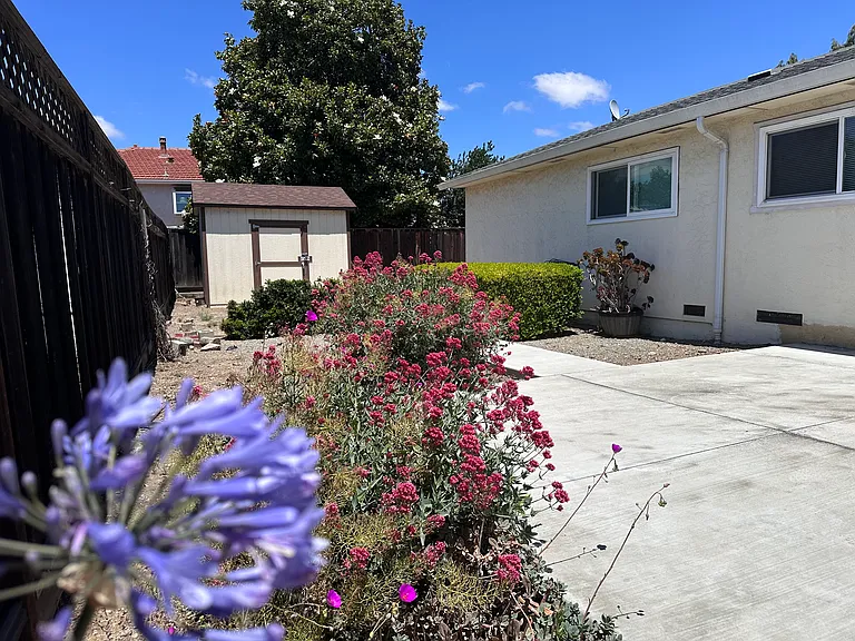 2913 Daisy Ct — Photo 22