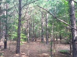 1350 Mount Zion Rd, Buena Vista, GA 31803