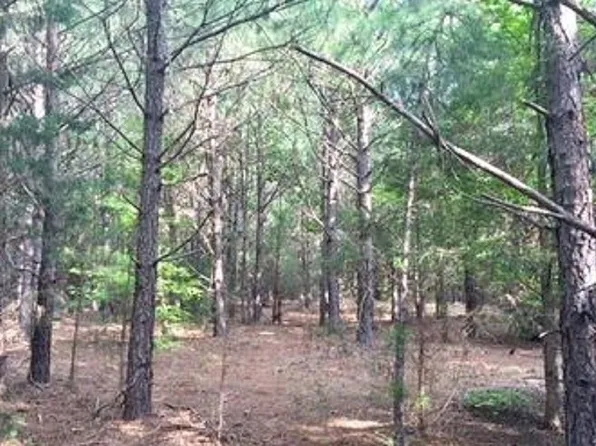 1350 Mount Zion Rd, Buena Vista, GA 31803