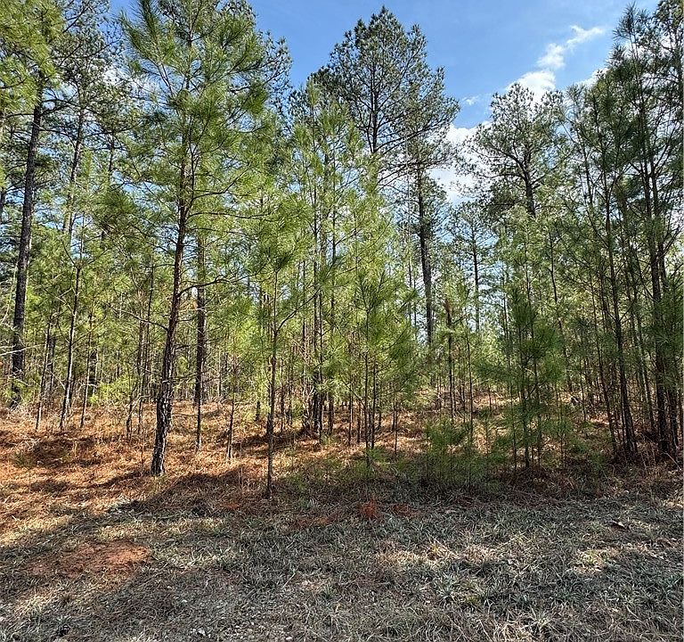 1st image of 0 Anthony Shoals Road