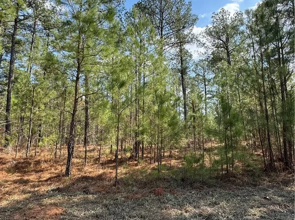 0 Anthony Shoals Road, Tignall, GA 30668