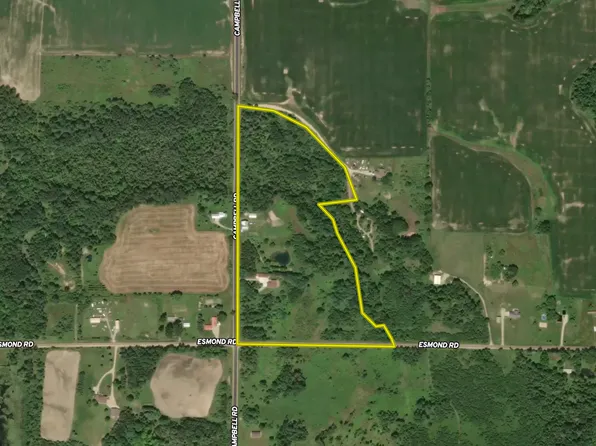 1542 Campbell Rd, Rose City, MI 48654