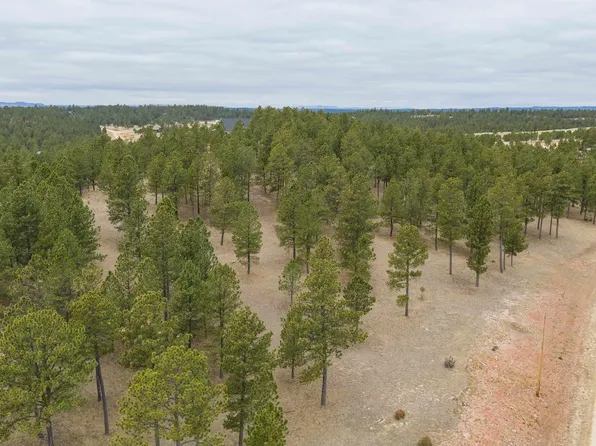 Gunsmoke Ln Lot 25, Custer, SD 57730