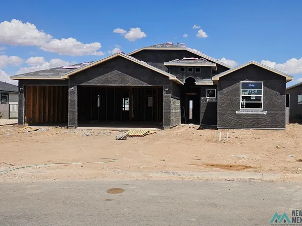 3708 Saguaro Dr, Carlsbad, NM 88220
