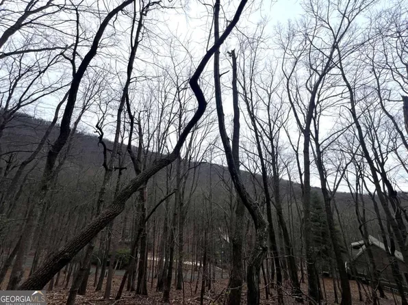 315 Windflower Dr, Lot, GA 30143