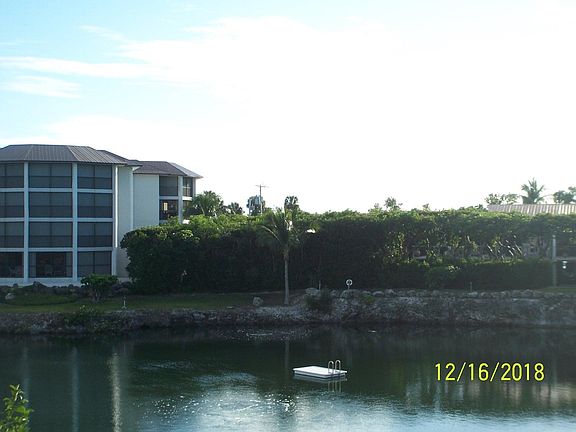 view directly out back