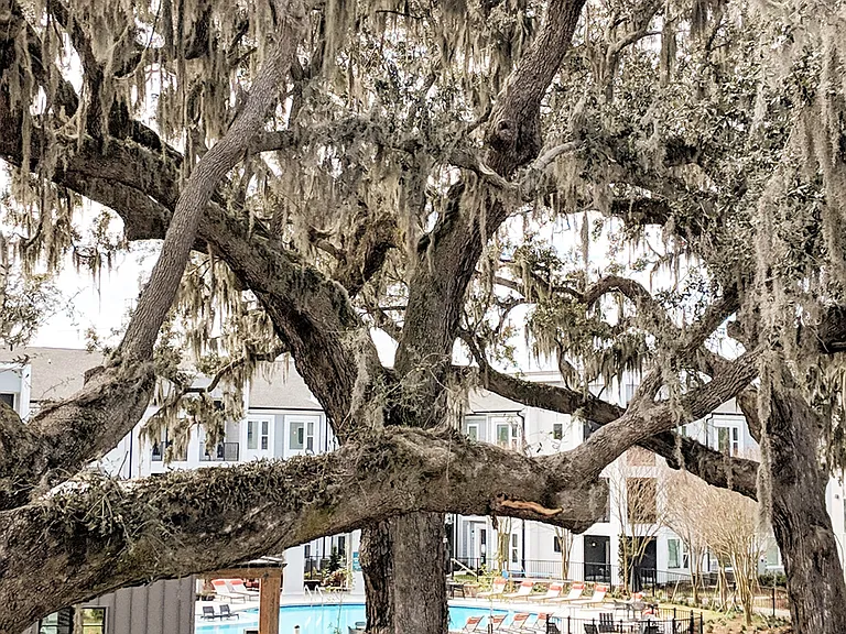The Ellis — Photo 31