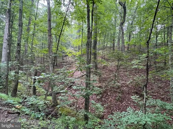 Cacapon Retreat Ln, Great Cacapon, WV 25422