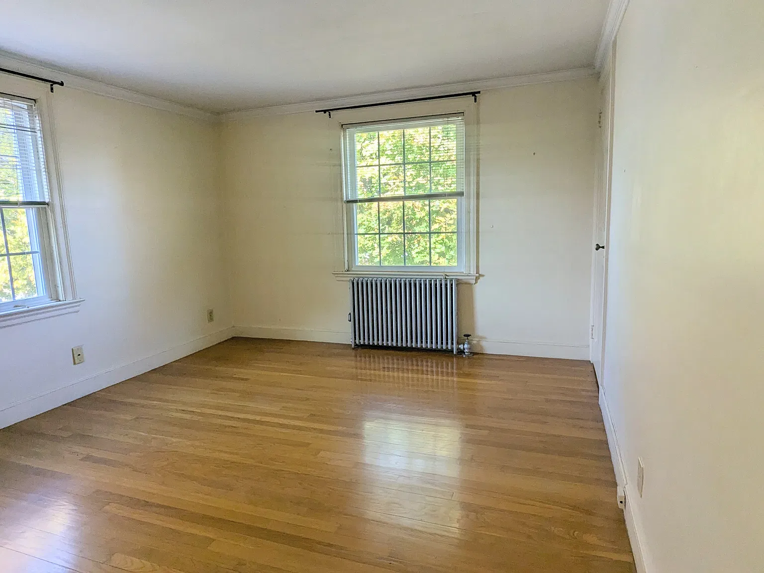 1 bed, $1,900 — Photo 4