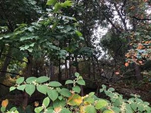 2nd image of 41 Spinale Rd