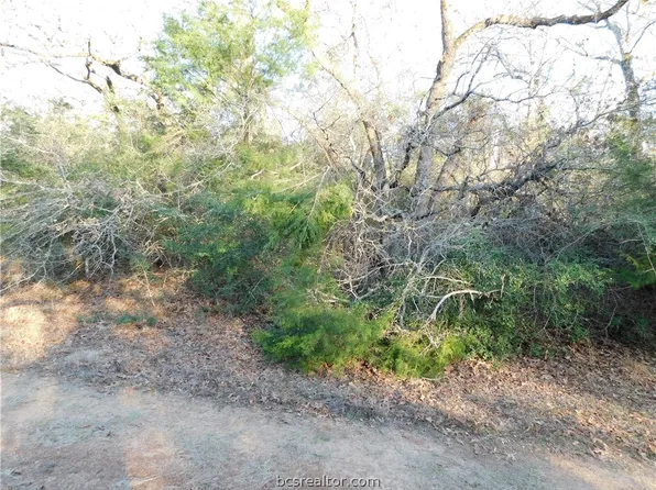 Blossom, Normangee, TX 77871